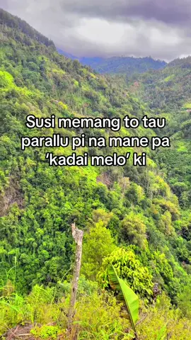 #enrekangduri #enrekang #sulawesiselatan #lewatberanda 