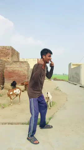 Dog dance #Reels 
