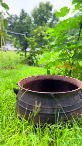 #practicalmagic #witch #homesteading 