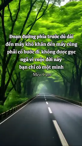 #ýnghĩacuộcsống #nhạchaymỗingày 