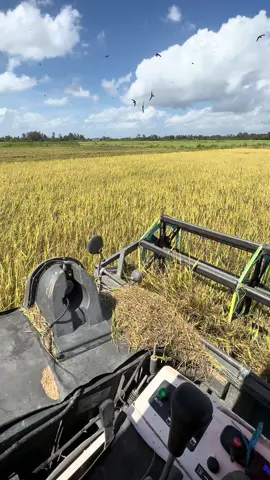 Ngứa nghề quá ta 😅