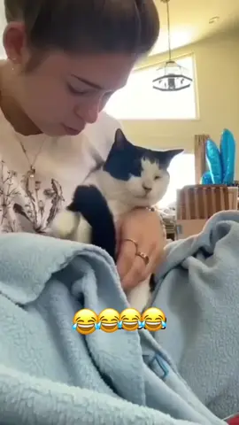 #funny #funnyvideos #animals #dogsoftiktok #catsoftiktok 
