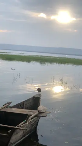 Hawassa❤️#fyp #ሀዋሳ #sidama  @Linda 
