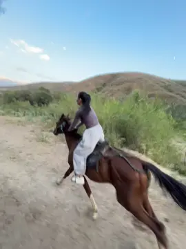 🐎❤️🔥 #р_е_к_о_м_е_н_д_а_ц_и_и #늙음필터 #horse #скачки 