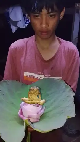 คำโบราณอีสานได้กล่าวไว้ว่า ผีบ้าได้กบ กบกินเดือน ผมจำศีล จริงหรือไม่ในความเชื่อของคนอีสาน หลวงปู่กบจำศีล