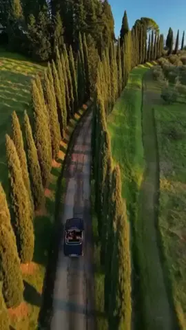 📍 TUSCANY - ITALY 🇮🇹  Tuscany is a region in central Italy known for its rolling hills, historic cities, and rich cultural heritage. It’s famous for Renaissance art and architecture, with Florence as its capital, as well as medieval towns like Siena, Pisa, and San Gimignano. The landscape combines vineyards, olive groves, and cypress-lined roads, making it a center for wine production, especially Chianti. Tuscany also boasts a beautiful coastline along the Tyrrhenian Sea and natural hot springs. Its cuisine is rustic and flavorful, featuring fresh local ingredients, bread, olive oil, and meats. #italy #tuscany  #foryoupage❤️❤️ #travelitaly #traveltok  #italytiktok #vizittuscany 