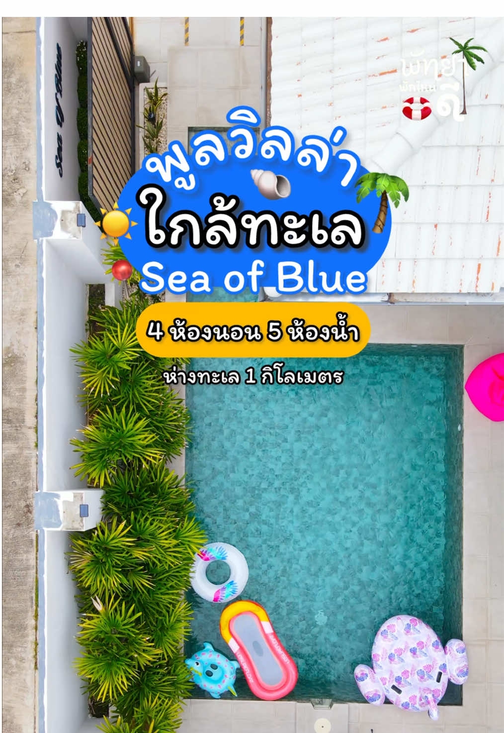 พูลวิลล่าใกล้ทะเล🌴💦📍Sea of Blue 🏖️4ห้องนอน5ห้องน้ำ✅ติดต่อจอง แอดไลน์ @deville (มี@นำหน้า)#pattaya #พัทยา #ที่พักพัทยา #พูลวิลล่า #พูลวิลล่าพัทยา #พัทยาพูลวิลล่า #เที่ยวพัทยา 