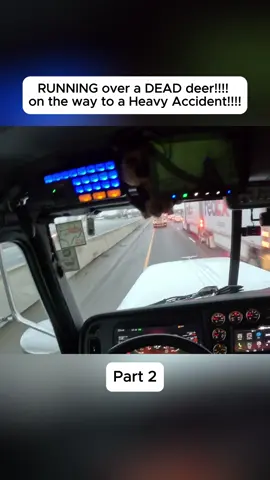 RUNNING over a DEAD deer!!!! on the way to a Heavy Accident!!!!#bodycam #cops #police 
