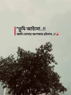 তুমি আইসো আমি টোনার অপেক্ষায় রইলাম 