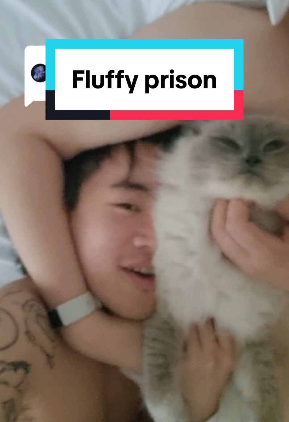 Replying to @ᓚᘏᗢ having to fight to be his number 1 🐱 is crazy  #gay #mlm #gaycouplegoals #twinkprison 