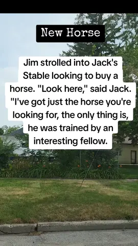 New Horse #funny #jokes #hillbillybonz 