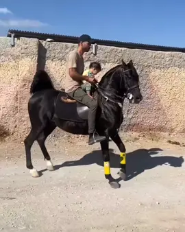 خیزران لرستان#ئەسپ_سوارەکانی_کوردستان #ئەسپ_سوارەکان #سلێمانی #هەولێر #ئەکتیڤبن🥀🖤ـہہـ٨ــہ 