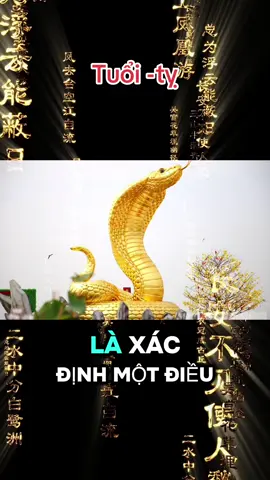 Tuổi-tỵ #tuvi12congiap #tuvisomenh #fyp #xuhuongtiktok #tỵ🐍 #tinhyeu #loc 