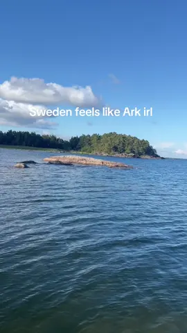 Even the sun effect 😌 #fyp #ark #arkaurvivalevolved #sweden #lake 