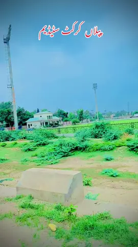 Puppy city #foryou #viral #song #PiplanCity☺️ #viralditiktok #video #tranding #foryoupage❤️❤️ #tik_tok #پپلاں_والے #پپلاں #viral_video #policeoftiktok #سنگت_ویڈیو_وائرل_کریسو_آپ_ہیں🥀🌼🙈✨🎇 #سنگت___لائک___شیئر___کریسو #yikes #viralditiktok #viral @❤️پپلاں فوٹو گرافی 🌸 @🥀 پپلاں شہر 🥀 @🥷پپلاں  🥷 @پپلاں کی شہزادی 