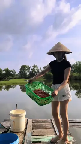 #xuhướng phơi tôm khô đi .. nào qua 2 đứa nhậu kkk#