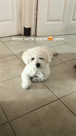 Te amo para siempre #fyp 