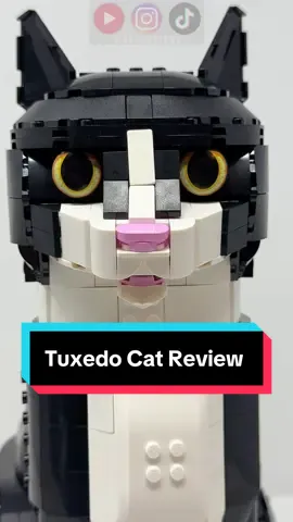 LEGO Tuxedo Cat Review  #legoideas #legocat #tuxedocat #legotiktok #legotiktoker #legocollector #legocollection #afol #legoreview 