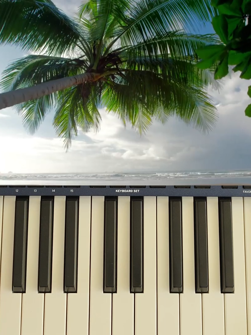 KorgStyle #stylekorg #relaxingsounds #instrumentalmusic #eurodisco #danekoo1