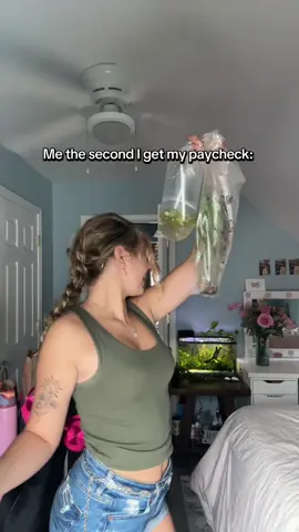 ofc I had to pick the most expensive hobby 😅 #fishkeeper #aquascape #fishkeeping #viralvideo #fypシ゚viral #foryoupage #aqarium #bettafish #bettatank 