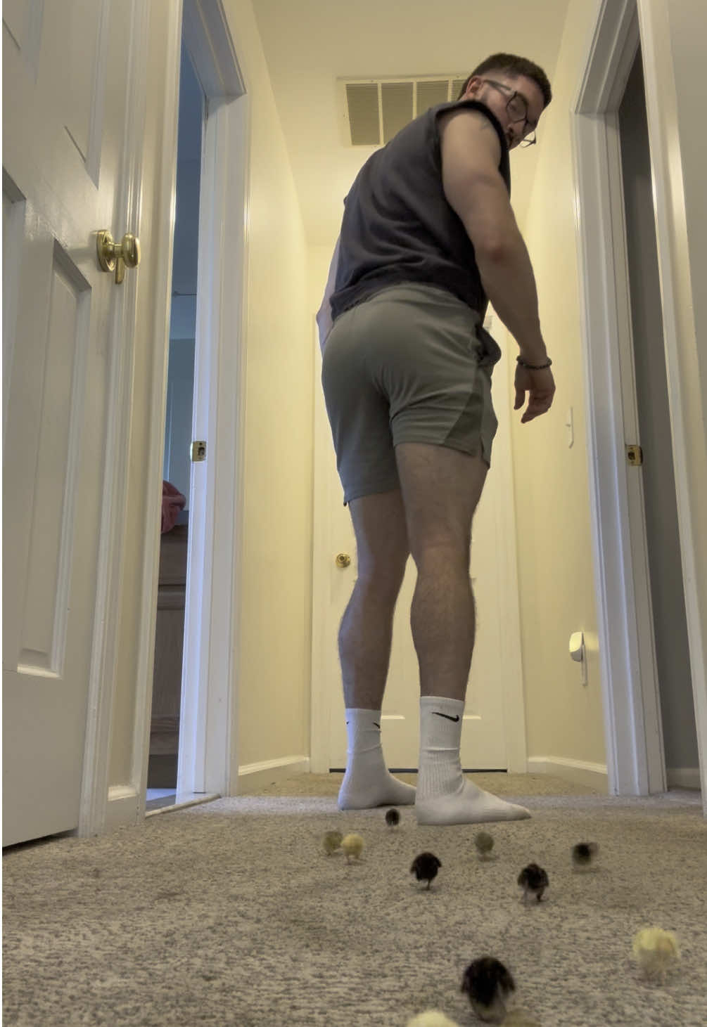 I can never plan how these videos are gunna go 😂😭. Sometimes the buttons simply follow me down the hallway, other times, they want to go down the stairs or hide under my knees 🤦🏻‍♂️  - - #cutenessoverload #babyanimals #cuteanimals #cuteness #foryoupage #fyp  