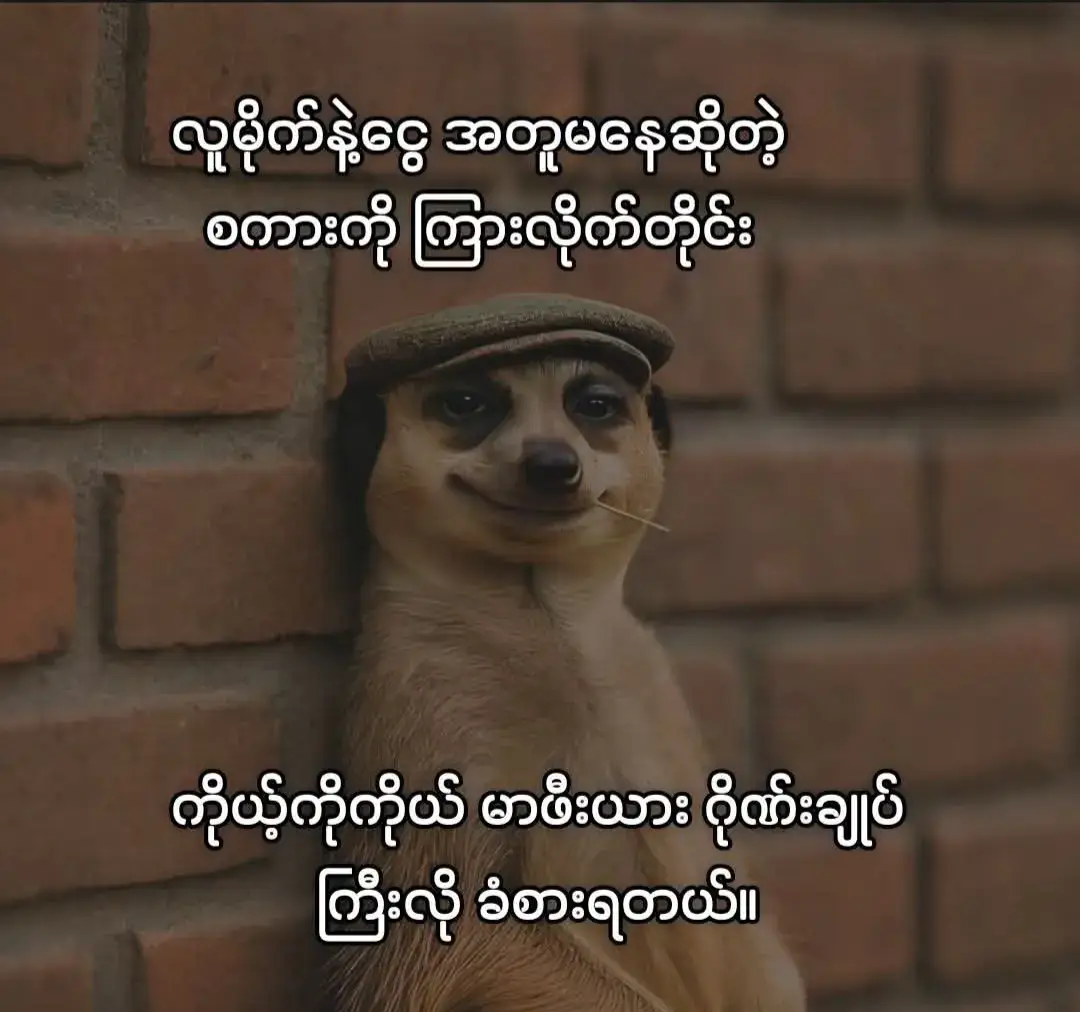 #ဟိဟိ🤭🤫 #ဂိုဏ်းချုပ်ကြီး #fypage #foryoupage #fypppppppppppppp 