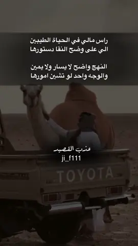 #عذب_القصيد #محمود_الجبلي #مشاهدات #tiktokarab #الشعب_الصيني_ماله_حل😂😂 