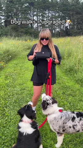 This stylish 3-in-1 treat pouch is a game changer! Slow-feeding bowl, bags, and all the storage you need #dog #treatpouch #trainingpouch #dogbag #dogwalking #dogmom #doggear 