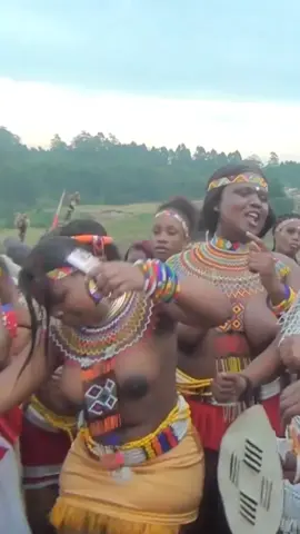 #ZuluWoman #ZuluDance #ZuluCulture #ZuluPower #ProudZulu #TribalDance #TraditionalDance #TraditionalWoman #StrongWoman #IndigenousBeauty #AfricanBeauty #BlackQueen #WarriorWoman #ZuluPride #CulturalRoots #NativeVibes #AfroHeritage #DanceOfAfrica #RhythmAndTradition #EthnicDance #CultureIsPower #WomenOfAfrica #TraditionalStyle #TribalQueen #RootedInCulture #ZuluTradition #SacredDance #ElegantStrength #BlackCultureMatters #EssenceOfAfrica #MujerZulu #DanzaZulu #CulturaZulu #PoderZulu #OrgulloZulu #DanzaTribal #DanzaTradicional #MujerTradicional #MujerFuerte #BellezaIndígena #BellezaAfricana #ReinaNegra #MujerGuerrera #RaícesCulturales #VibrasNativas #HerenciaAfro #DanzaDeÁfrica #RitmoYTradición #DanzaÉtnica #LaCulturaEsPoder #MujeresDeÁfrica #EstiloTradicional #ReinaTribal #ConRaíces #TradiciónZulu #DanzaSagrada #FuerzaElegante #LaCulturaNegraImporta #EsenciaDeÁfrica #MulherZulu #DançaZulu #CulturaZulu #PoderZulu #OrgulhoZulu #DançaTribal #DançaTradicional #MulherTradicional #MulherForte #BelezaIndígena #BelezaAfricana #RainhaNegra #MulherGuerreira #RaízesCulturais #VibesNativas #HerançaAfro #DançaDaÁfrica #RitmoETradição #DançaÉtnica #CulturaÉPoder #MulheresDaÁfrica #EstiloTradicional #RainhaTribal #EnraizadaNaCultura #TradiçãoZulu #DançaSagrada #ForçaElegante #CulturaNegraImporta #EssênciaDaÁfrica #FYP #ForYou #ParaTi #Viral #Trending #WatchTillTheEnd #MustSee #DanceChallenge #TikTokTrend #GlowUp #ReelsBrasil #ShortsFeed #ExplorePage #VibesOnly #GirlPower #AfroTikTok #DuetThis #StitchThis #TikTokChallenge #culturaldance 