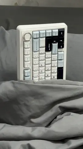 😭 #setuplaptop #desksetup #setupgaming #setupinspiration #keyboard #mechanicalkeyboard #keyboardgaming #aulaf75 #meme 