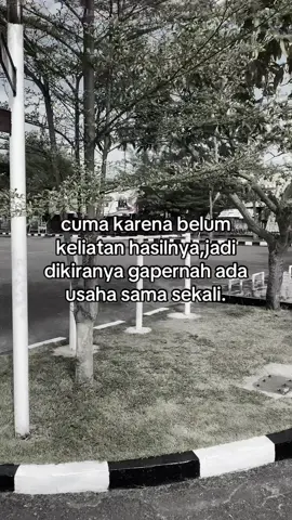 #fyp