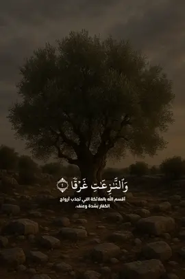 سورة النازعات كاملة بصوت الشيخ عاصم اللحيدان ♡ #قران #عاصم_اللحيدان #سورة_النازعات  #فاذا_جاءت_الصاخه #viralvideo  #fypシ゚viral #quran #fyp 