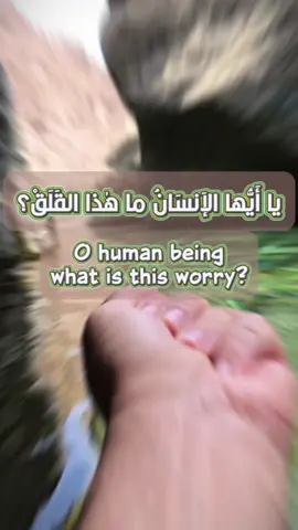 يا أيها الإنسان ما هذا القلق؟؟ What's that concern? #stress #concern #خوف #تفاعل #تفاؤل 