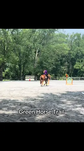 Bits of our trail class a few weeks back #showhorse #painthorse 