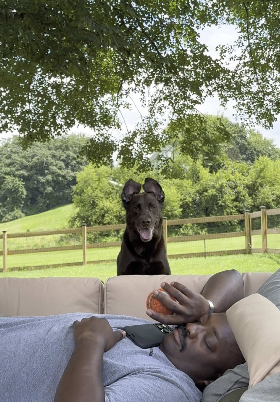 Nothing beats a Jet2Holiday in the backyard with a tennis ball! 🎾✈️ #staycation #jet2holidays #labradorretriever 