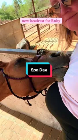 The sweetest girl ❤️ #redmare #babybump #loveable #horselovers #makeitacoldone #mare #Halfordequine#equestrian #horsesonmyforyou#horsetraining#azhorse#horse#horses#horsesontiktok#horsesoftiktok #horsefyp#foryou #equine #cowhorse #nrcha #reiner #nrha #horsegirl #aqha #happyhorse