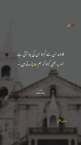 بس اک شخص سے مطلب تھا اور *افسوس وہ بھی مطلبی نکلا 🙂‍↕️❤️‍🩹 #foryoupageofficiall #shayri #poetry #Sعdiرائیٹس 