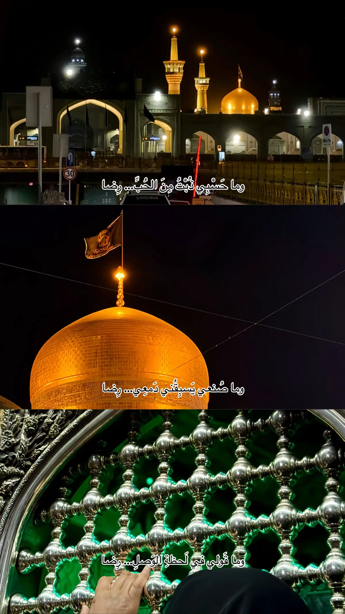 وما حَسْبِي ذُبْتُ مِنَ الحُبِّ… رِضا  #رضا_جان #انيس_النفوس #الامام_الرضا #اكسبلور #explore #fyp #mashhad #iran #الامام_الرؤوف #مشهد_المقدسة #علي_ابن_موسى_الرضا #ايران🇮🇷 