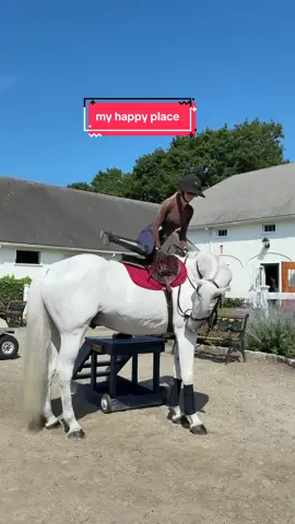 My happy place 🐴🥕🦋🪽🍃 #fyp #Summer #happyplace #horses 