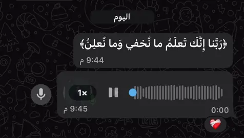 رَبَّنا إِنَّكَ تَعلَمُ ما نُخفي وَما نُعلِنُ ❤️‍🩹 #ajr_together #قران #قران_كريم 