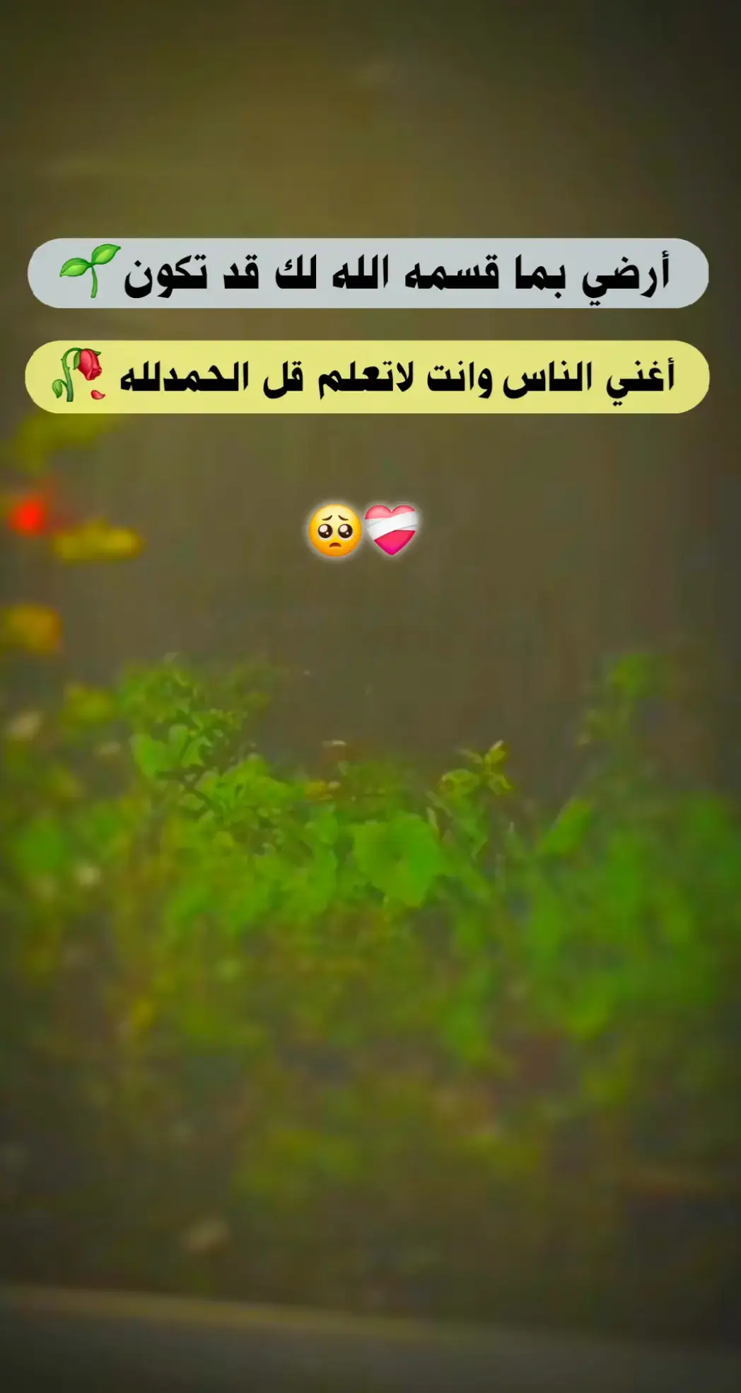 #هدوء🥀 #عبارات_جميلة🦋💙  #هدوء🥀 #💔 #اكسبلوررررررر 