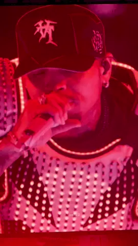She want that..👀😘 @chrisbrownofficial #chrisbrown #chrisbrownofficial #chrisbrownconcert #breezybowlxx #breezybowl #villapark #breezy #chrisbreezy #teambreezy #kisskiss #fyp #foryou #foru 