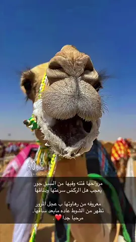 جلموده ماشالله #لقطات #هجن #هجن_الرياسة #هجن_الشحانيه #خلفيات_هجن#هجن_السعودية #هجن_الشحانية #هجن_الرئاسة #ترندات_تيك_توك #ه #ج #ن #الشعب_الصيني_ماله_حل😂😂 #💘 #النعيرية #ترند 