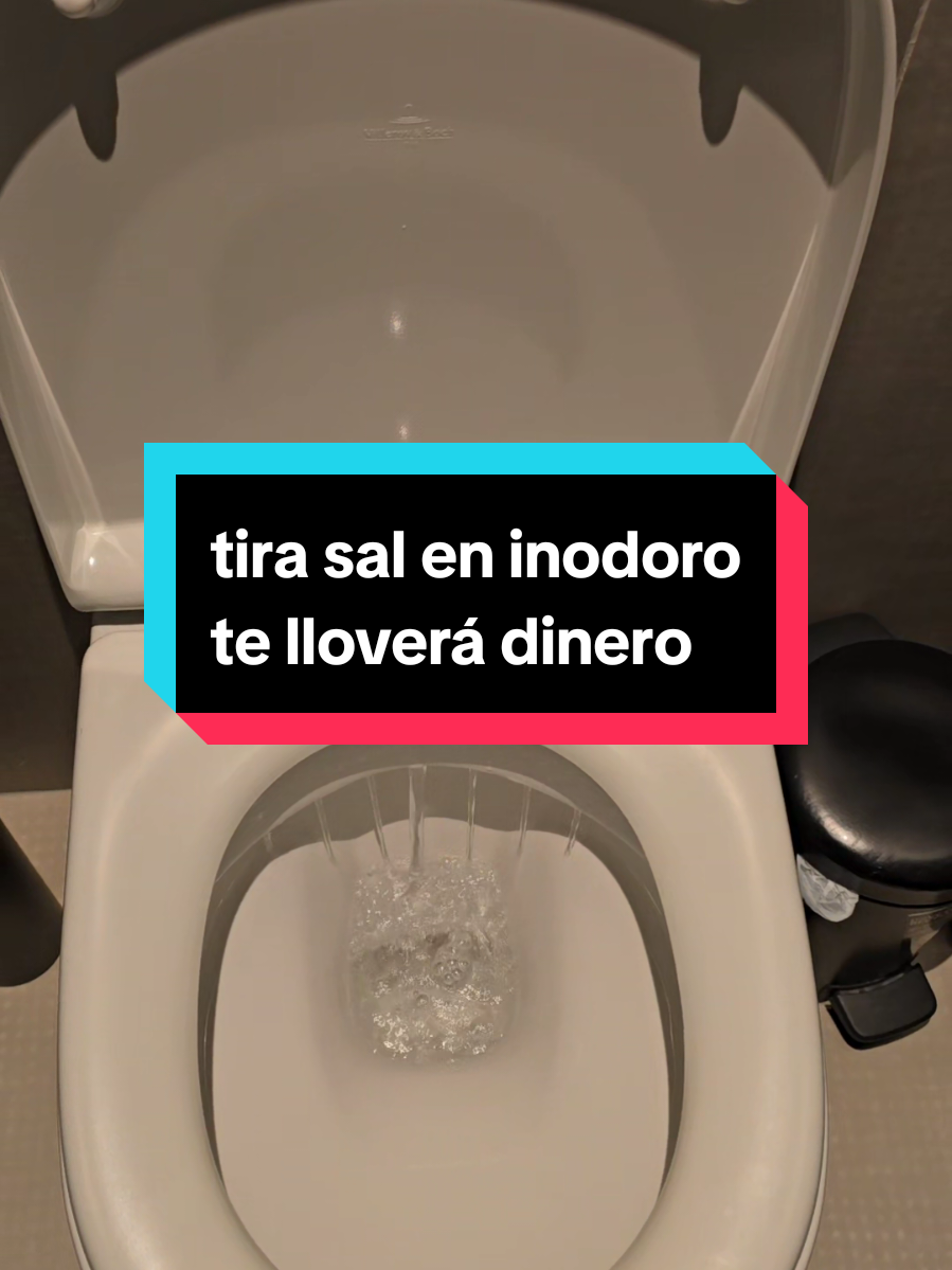 Tira sal en el inodoro con intención Corta con toda mala energía Tira la cadena y visualiza como se arrastra la envidia mala suerte estancamiento Hazlo por FE Te lloverá dinero y buena suerte 