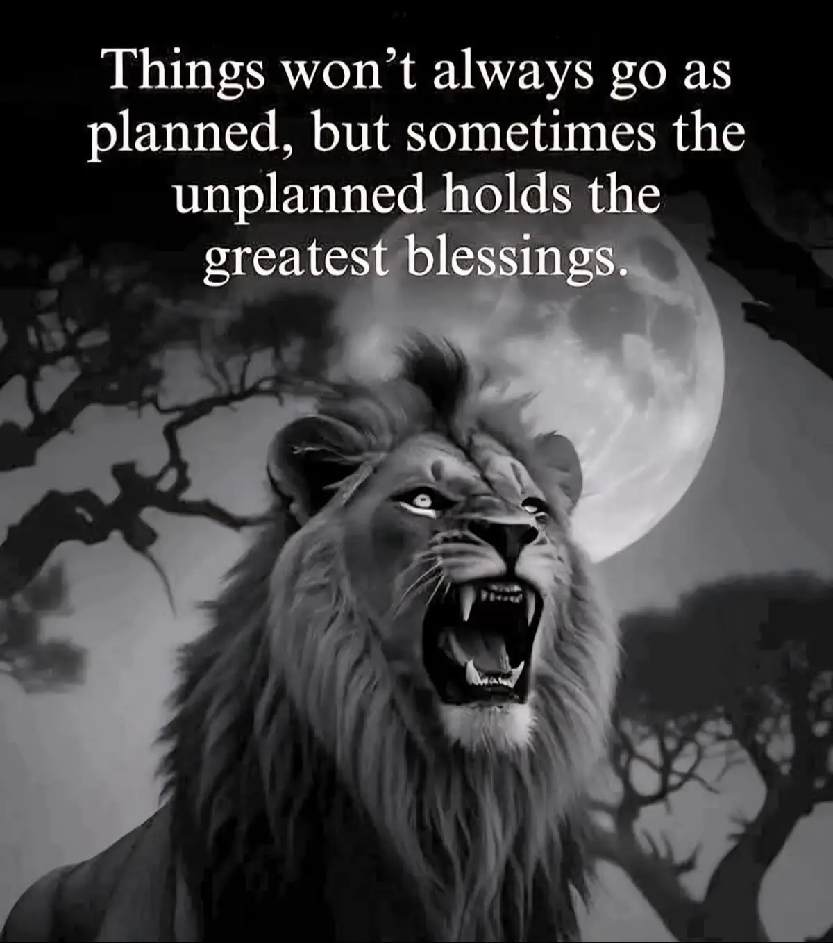#inspirational #fyp #viral #trending #motivational #foryou #foryourepage #motivationalvideo #toryoupage
