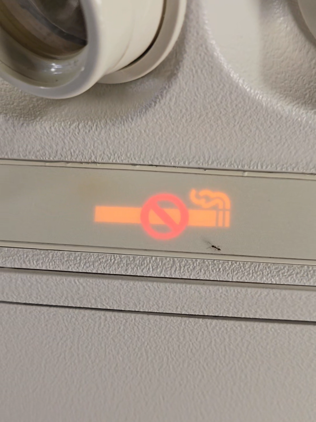 @Alaska Airlines we have a stowaway on our flight 🤣😂 #airplane #travel #fyp #nosmoking 
