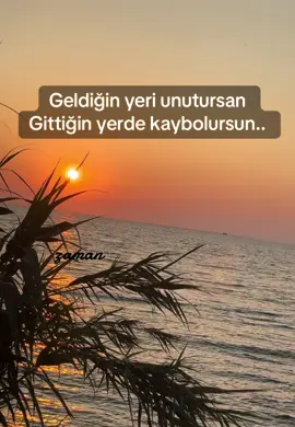 #fy #fypp #fyppppppppppppppppppppppp 