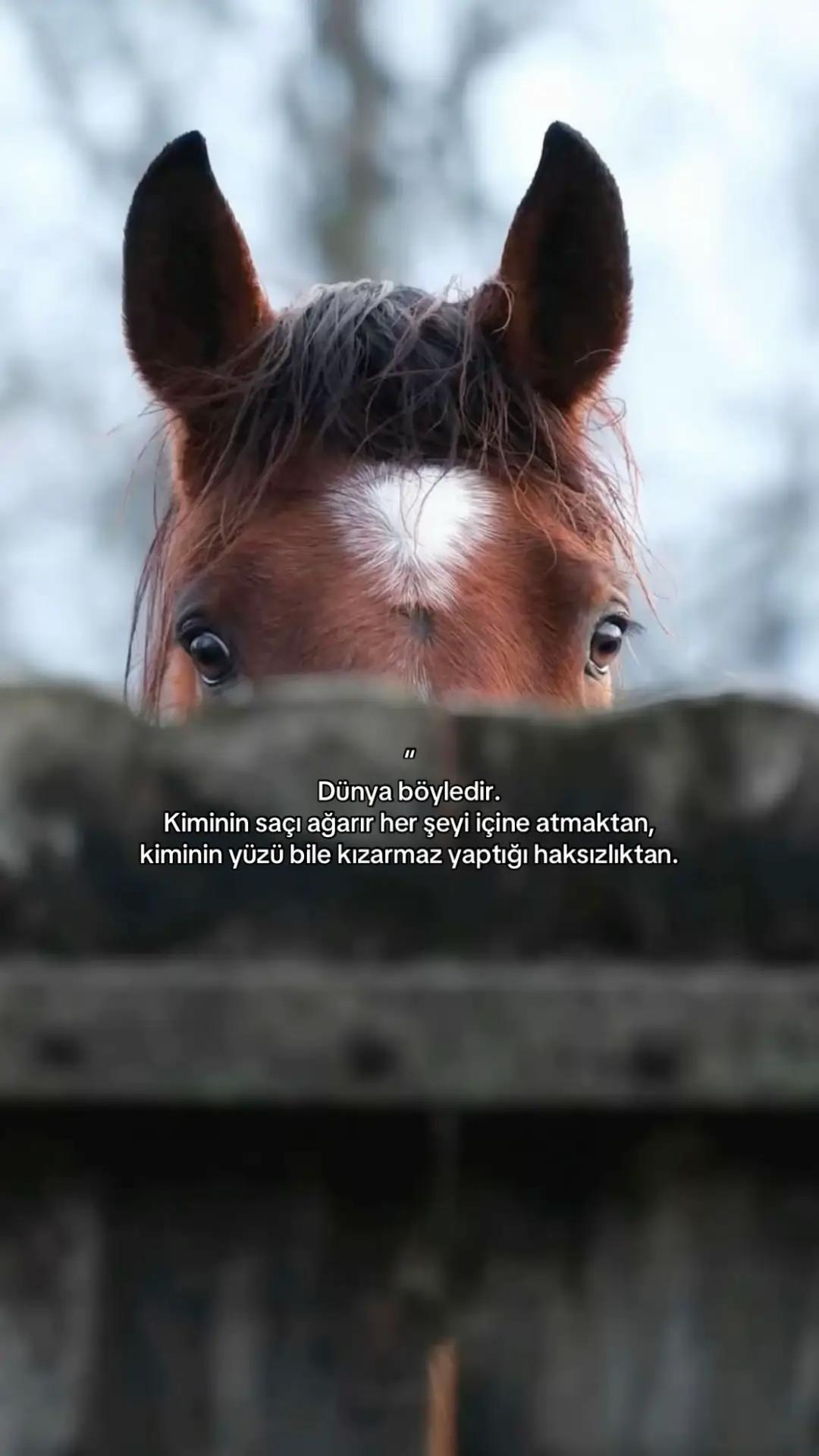 #fy #keşfet #sözler #keşfetteyizzz 