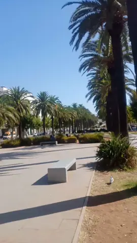 مدينة فاس المغرب #🇹🇳الجزائر🇩🇿تركيا🇹🇷_العراق🇮🇶اسبانيا #اسبانيا🇪🇸_ايطاليا🇮🇹_البرتغال🇵🇹  العغرب#🇲🇦🇲🇦🇲🇦 