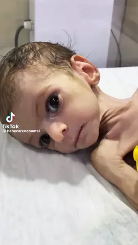 #cdnpoli #canadacomplicitinisraeliwarcrimes 
